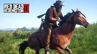 O domador de cavalos - Chegou a vez do MUSTANGUE - Red Dead Redemption 2