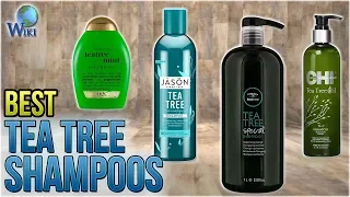 10 Best Tea Tree Shampoos 2018