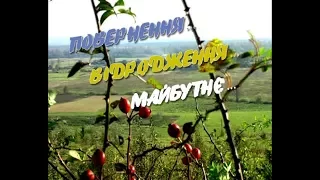 ТУЧАПИ 2010р