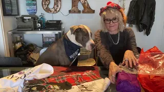 Hudson & James and Karla in NYC Unboxing Gifts from Scotland from Patreon Member Marion