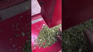 Sunflower seeds peeling machine