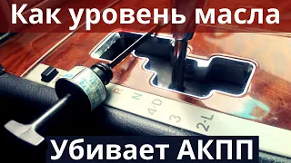 Как вы сокращаете ресурс АККП своими руками. Ошибки при измерении уровня масла в коробке автомат