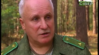 Ліси Чернігівщини атакував верхівковий короїд