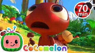 CoComelon - The Ant and the Grasshopper | Learning Videos For Kids | Education Show For Toddlers