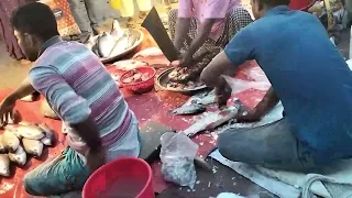 4kg Fish cutting video live in fish market | Expert fish cutting man today show amazing video- 307