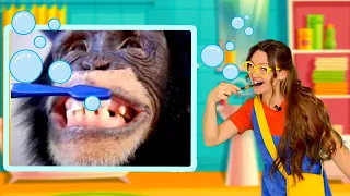 Tooth Brushing Song by Bobo | Brush Your Teeth for Kids | Чистим Зубы | Детская песенка