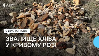 Звалище хліба виявили у Кривому Розі місцеві жителі