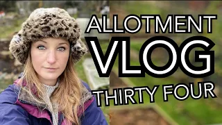 ALLOTMENT VLOG 34 | The Dahlias are down, New Beds Cut and making Chilli Powder!