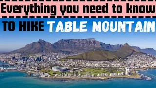 Planning to Hike Table Mountain? Here Are Key Tips (Cape Town, South Africa)