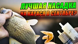 ЛУЧШАЯ и ХУДШАЯ НАСАДКА для ЛОВЛИ КАРАСЯ! Как ПОГОДА влияет на КЛЁВ КАРАСЯ?! Рыбалка в СЕНТЯБРЕ