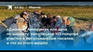 Аминовка в Подмосковье