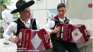 MALHÃO TRAÇADO | Diogo Oliveira e Afonso Costa na concertina!