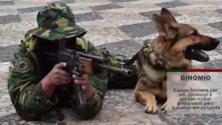 Exército Português - Cães Militares