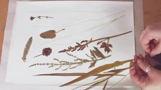 Amanda Ross, printing with plants.