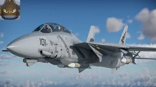 War Thunder SIM - F 14B - Quick Look.