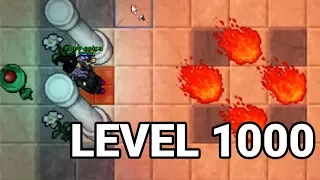 Desert Quest at Level 1000! - Tibia on Twitch #week13