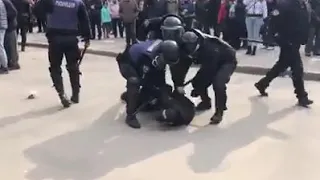 У Полтаві поліція затримала активістів Нацкорпусу за плюшевих поросят