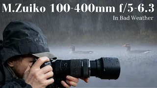 Olympus 100-400mm in HEAVY RAIN | Does it hold up?