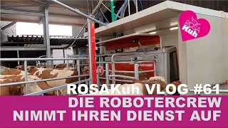 ROSAKuh VLOG#61 die Roboter kommen #Rosakuh #Hofmolkerei #Lely #Megaregional #Farmvlog