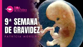 9 SEMANAS DE GRAVIDEZ - Gravidez Semana a Semana