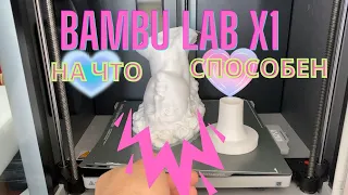 Что печатает мой Bambu Lab X1?