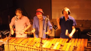 Under the Sea (the #1 request for marimba) – Sticks and Stone