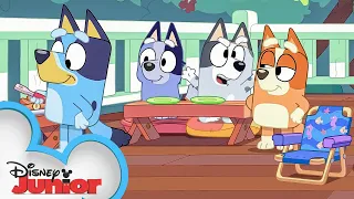 Bluey Season 1 Episode 4 "BBQ" Episode Clip | @disneyjunior​ | @BlueyOfficialChannel​