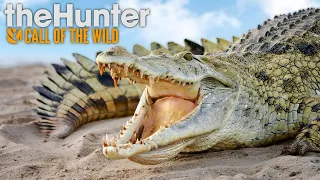 CAÇA AO GIGANTE CROCODILO LENDÁRIO DIAMANTE!! - The Hunter Call Of The Wild