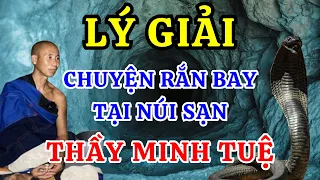 Bí Ẩn Tâm Linh: Thầy Thích Minh Tuệ Kể Chuyện Rắn Bay Có Ý Nghĩa Như Thế Nào Trong Đạo Phật?