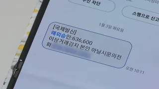 스미싱 메시지 1년 만에 7배↑…금융 정보 사칭 심해 / 연합뉴스TV (YonhapnewsTV)