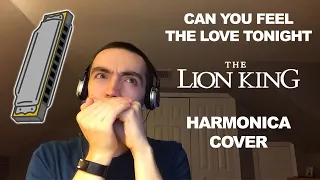 Can You Feel The Love Tonight - Elton John Harmonica Cover