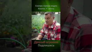 УЗНАЙ как сделать ЗЕМЛЮ КАК ХЛЕБ Дачный агроном