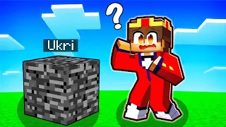 Ich CHEATE in MINECRAFT Hide & Seek! (100% unmöglich)