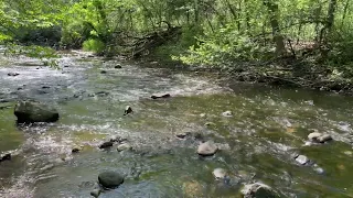 Nine Mile Creek in Bloomington Minnesota