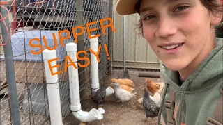 DIY Easy Chicken Feeder (Cheap!!)