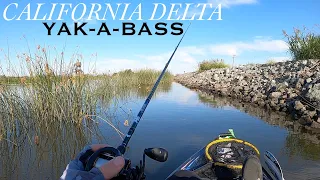 California Delta Bass Fishing Tournament YAK-A-BASS (Day 1)