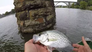 Summertime Crappie Fishing On The Coosa River