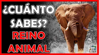 ¿Cuánto Sabes de "ANIMALES"?  Test/Trivia/Quiz