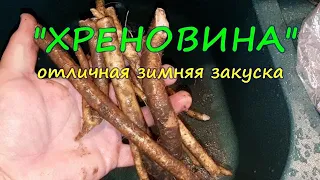 Простой вкусный рецепт Хреновина без варки | Горлодер | Хренодер с чесноком