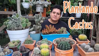 Plantando cactus🌵/Te enseño truco que aprendí para no espinarte.