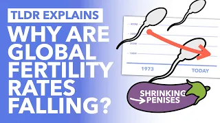 Why is Global Fertility Falling & Penises Shrinking? - TLDR News