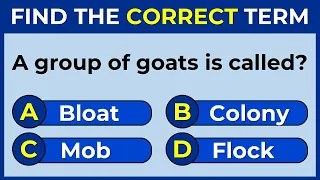 Vocabulary Challenge: Find The Correct Term! #challenge 11