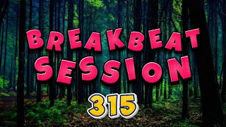 BREAKBEAT SESSION # 315 mixed by dj_némesys