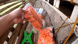 Paano ang pag lagay ng ear tag sa mga kambing