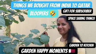 🎁Gift for subscriber |things we bought from India to qatar |lemongrass tea day in the life in Qatar