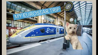 How I got to Travel on Eurostar Train with a Dog