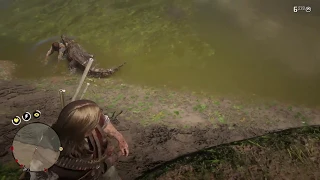 Red Dead Redemption 2 Alligator Feeding.