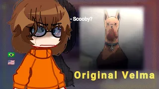 •|Velma (Scooby-Doo) React to Velma Meets the Original Velma •| gacha club 🇧🇷/🇺🇸 |•