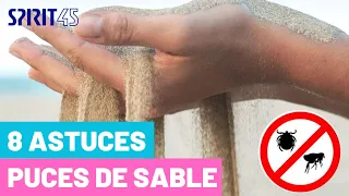 8 ASTUCES Comment faire pour ne pas se faire piquer par les puces de sable ?