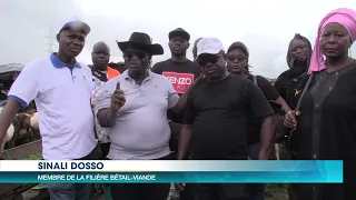 Un nouveau parc à bétail ouvert à Abidjan dans la commune d'Adjamé